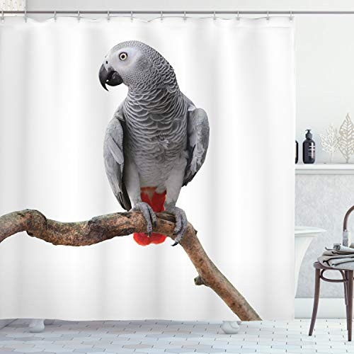 Ambesonne Grey Shower Curtain- Parrot Bird Psittacus Erithacus Standing on a Branch Tropical Nature Wildlife- Cloth Fabric Bathroom Decor Set with Hooks- 70inch Long- White Grey