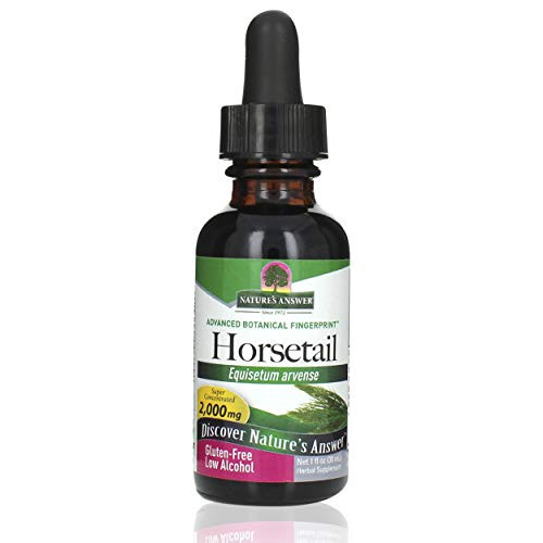 Natures Answer Horsetail Herb with Low Organic Alcohol 1 Fluid Ounce | Hair- Skin- and Nails Support | Promotes Urinary Tract Health | Strengthen Joints Natures Answer Horsetail Herb with Low Organic Alcohol 1 Fluid Ounce | Hair- Skin- and Nails Support | Promotes Urinary Tract Health | Strengthen Joints