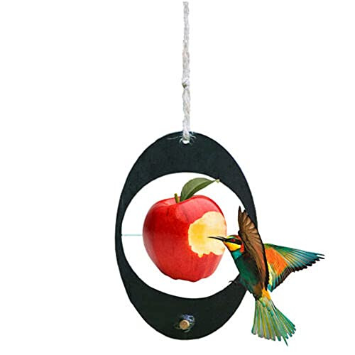 Caiyle Oriole Bird Feeder for Outdoors Jelly and Oranges-Apple Fruit Oriole Jelly Bird Feeder- Outdoor Garden Hanging Drinking Grape Jelly Container Hummingbird Feeder- Heart Shape