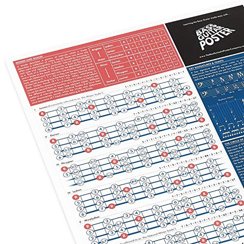 The Really Useful Bass Guitar Poster - Bass Guitar Chords Poster - Illustrated Guitar Chords and Scales - Learn Bass Guitar and Music Theory - Guitar Beginners - A1 Size - Folded Version