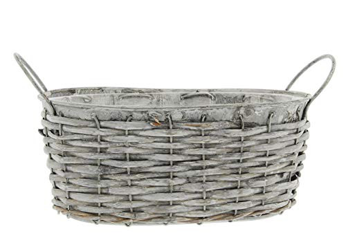 Lucky Winner Galvanized Metal Wicker Basket, 8.75"