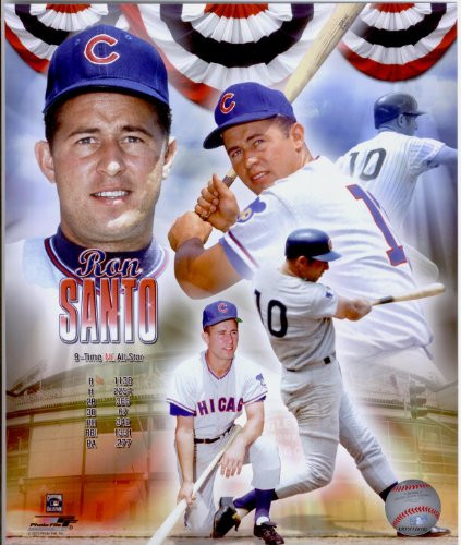 Ron Santo Chicago Cubs 8x10 Photo Collage 41