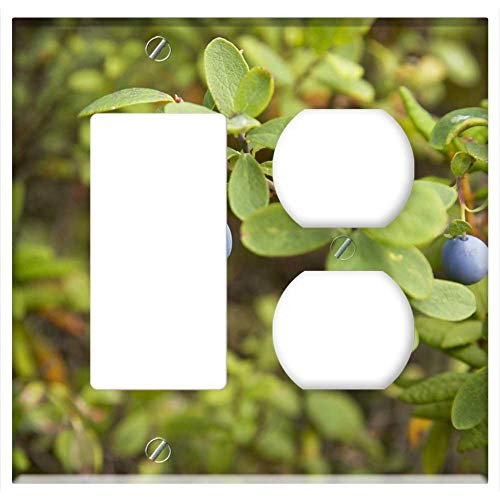 2-Gang- Rocker/GFCI Outlet Combination Wall Plate Cover - Alaskan Blueberry Branch Wild Fruit Blue Nature
