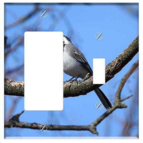Rocker/GFCI Toggle Combination Wall Plate Cover - White Wagtail Bird Branch Songbird Rocker/GFCI Toggle Combination Wall Plate Cover - White Wagtail Bird Branch Songbird