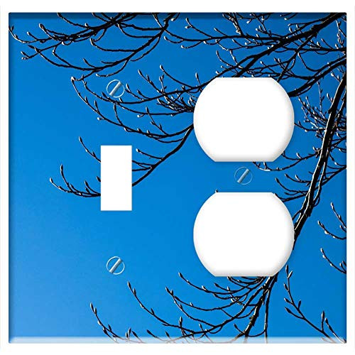 2-Gang- Toggle Outlet Combination Wall Plate Cover - Nature Desktop Sky Tree Branch Bright Spring