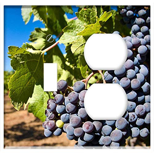 2-Gang- Toggle Outlet Combination Wall Plate Cover - Grape Planting Purple Wine Fruit Agriculture 2-Gang- Toggle Outlet Combination Wall Plate Cover - Grape Planting Purple Wine Fruit Agriculture