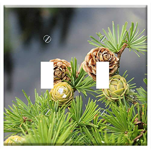 Switch Plate Double Toggle - Larch Larch Branch Branch Softwood Cones