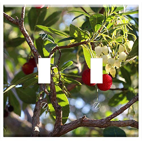 Switch Plate Double Toggle - Fruit Tree Nature Leaf Branch Strawberry Tree Switch Plate Double Toggle - Fruit Tree Nature Leaf Branch Strawberry Tree