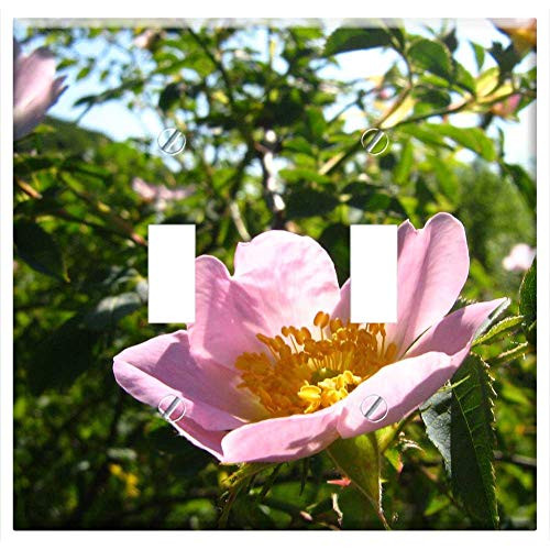 Switch Plate Double Toggle - Rose Brian Csipkebogy virag Foliage Branch