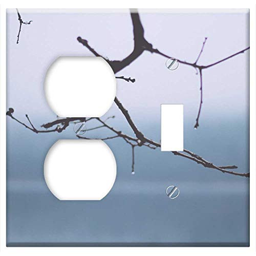 2-Gang- Outlet Toggle Combination Wall Plate Cover - Branch Twigs Tree Nature Fall Winter Bare