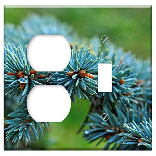 2-Gang- Outlet Toggle Combination Wall Plate Cover - Dwarf Blue Fir Fir Conifer Branch Needles 2-Gang- Outlet Toggle Combination Wall Plate Cover - Dwarf Blue Fir Fir Conifer Branch Needles