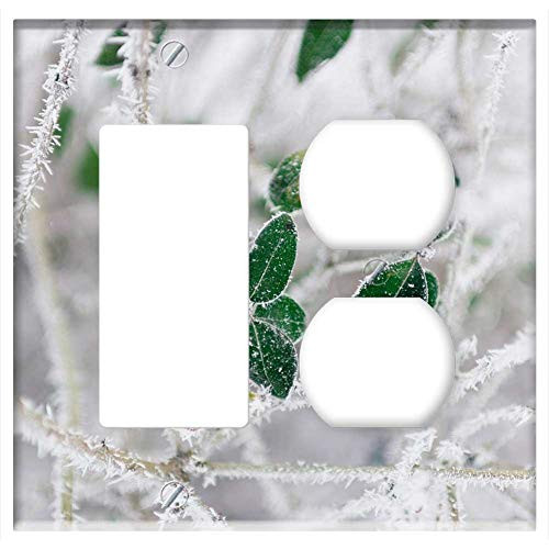 2-Gang- Rocker/GFCI Outlet Combination Wall Plate Cover - Trees Branch Green Leaf Plant Nature Snow Winter 2-Gang- Rocker/GFCI Outlet Combination Wall Plate Cover - Trees Branch Green Leaf Plant Nature Snow Winter