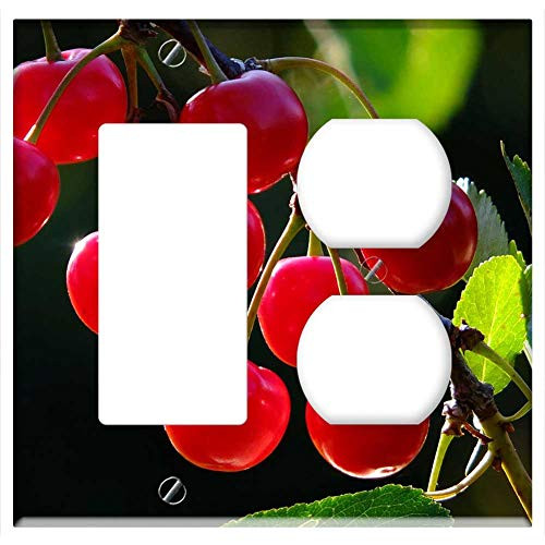 2-Gang- Rocker/GFCI Outlet Combination Wall Plate Cover - Cherries Cherry Branch Fruit Red Fruits Tree