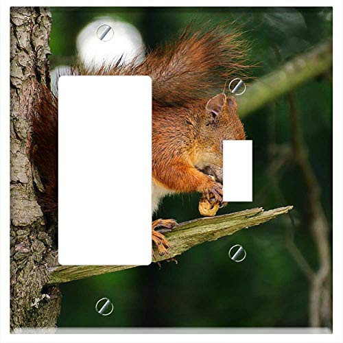 Rocker/GFCI Toggle Combination Wall Plate Cover - Squirrel Animal Eating Tree Branch Wood Plant Rocker/GFCI Toggle Combination Wall Plate Cover - Squirrel Animal Eating Tree Branch Wood Plant