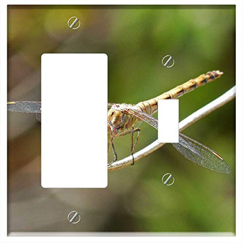 Rocker/GFCI Toggle Combination Wall Plate Cover - Dragonfly Sympetrum Striolatum Winged Insect Branch 1 Rocker/GFCI Toggle Combination Wall Plate Cover - Dragonfly Sympetrum Striolatum Winged Insect Branch 1