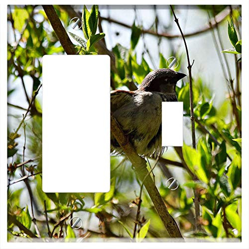 Rocker/GFCI Toggle Combination Wall Plate Cover - Bird The Sparrow Tree Nature Green Branch Fauna Rocker/GFCI Toggle Combination Wall Plate Cover - Bird The Sparrow Tree Nature Green Branch Fauna