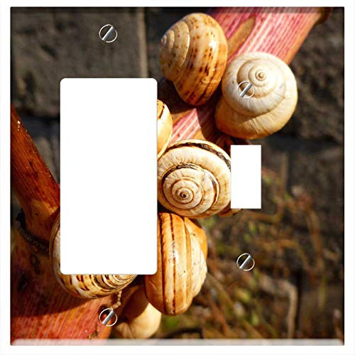 Rocker/GFCI Toggle Combination Wall Plate Cover - Snail Shells Snails Close Branch Animals Nature Rocker/GFCI Toggle Combination Wall Plate Cover - Snail Shells Snails Close Branch Animals Nature