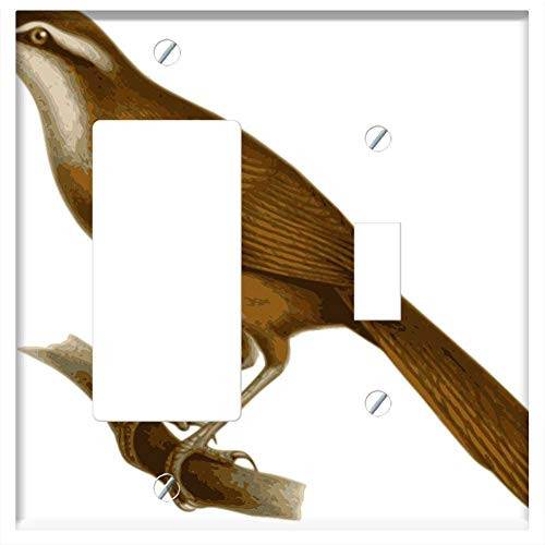 Rocker/GFCI Toggle Combination Wall Plate Cover - Bird Feathers Animal Brown Sitting Twig Branch 12 Rocker/GFCI Toggle Combination Wall Plate Cover - Bird Feathers Animal Brown Sitting Twig Branch 12