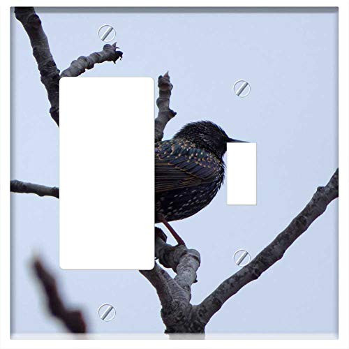 Rocker/GFCI Toggle Combination Wall Plate Cover - Bird Starling Branch Winter Lookout Rocker/GFCI Toggle Combination Wall Plate Cover - Bird Starling Branch Winter Lookout
