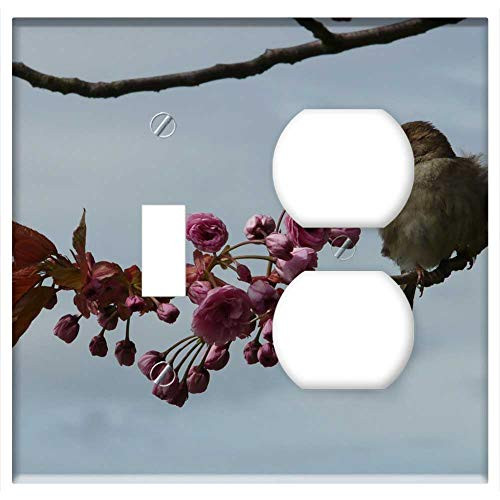 2-Gang- Toggle Outlet Combination Wall Plate Cover - Bird Branch Sit Sparrow Sperling Junvogel 2-Gang- Toggle Outlet Combination Wall Plate Cover - Bird Branch Sit Sparrow Sperling Junvogel