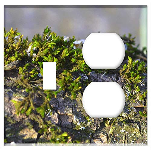 2-Gang- Toggle Outlet Combination Wall Plate Cover - Moss Branch Forest Nature Green Tree Plant