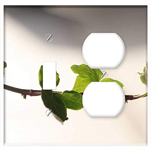 2-Gang- Toggle Outlet Combination Wall Plate Cover - Branch Plant Green Nature Leaf