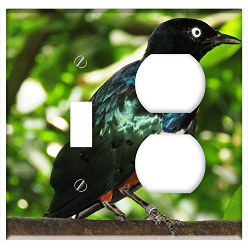 2-Gang- Toggle Outlet Combination Wall Plate Cover - Shining Bird Colorful Tree Branch Sitting Rest 2-Gang- Toggle Outlet Combination Wall Plate Cover - Shining Bird Colorful Tree Branch Sitting Rest