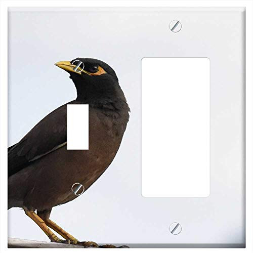Toggle Rocker/GFCI Combination Wall Plate Cover - Bird Nature Hills Natural Wild Spring Branch
