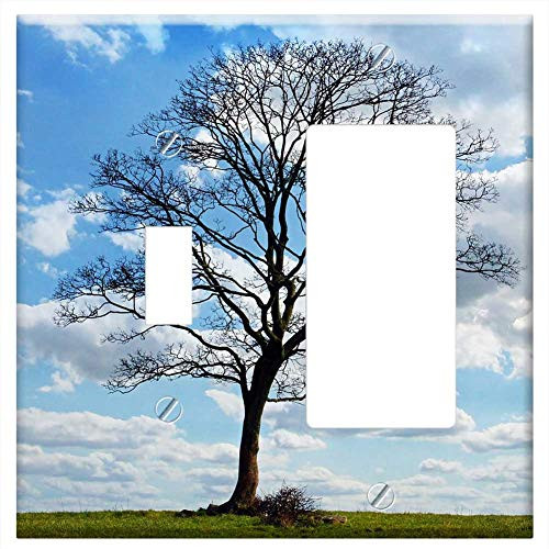 Toggle Rocker/GFCI Combination Wall Plate Cover - Tree Blue Sky Branch Branches Cloud Clouds