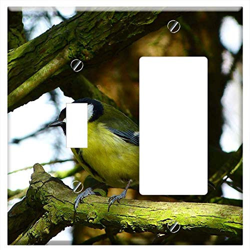 Toggle Rocker/GFCI Combination Wall Plate Cover - Great Tit Bird Nature Tree Air Branch Summer Toggle Rocker/GFCI Combination Wall Plate Cover - Great Tit Bird Nature Tree Air Branch Summer
