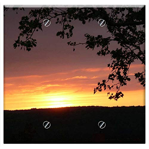 Double Blank Wall Plate Cover - Sunset Tree Branch In The Sunset Dusk Sky Color
