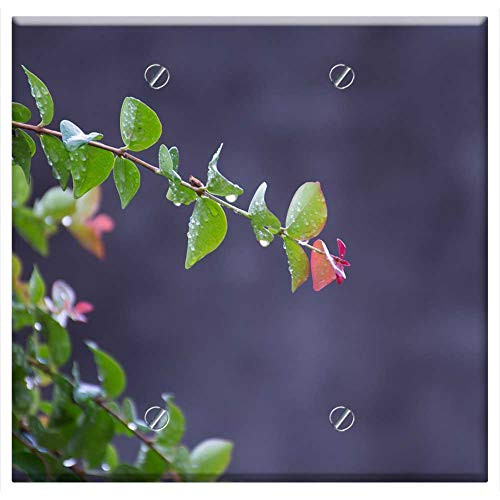 Double Blank Wall Plate Cover - Leaf Plant Nature Branch Tree Summer Garden