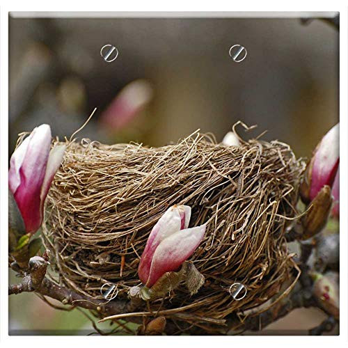 Double Blank Wall Plate Cover - Flowers Tree Nest Bird Spring Nature Branch