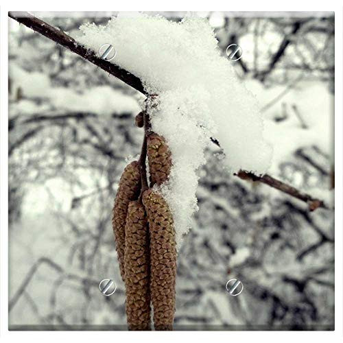 Double Blank Wall Plate Cover - Winter Snow White Branch Tree Nature