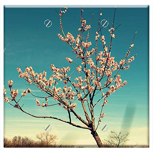Double Blank Wall Plate Cover - Tree Blossom Buds Spring Nature Branch Flower