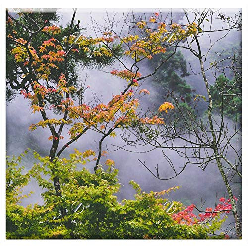 Double Blank Wall Plate Cover - Trees Plant Nature Branch Leaves Fog Cold
