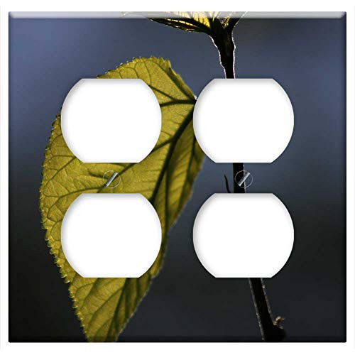 Double Duplex Outlet Wall Plate Cover - Leaves Reverse Light Branch Nature Green Mulberry