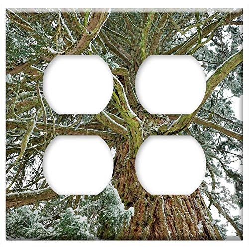 Double Duplex Outlet Wall Plate Cover - Tree Nature Wood Branch Plant Leaf Landscape