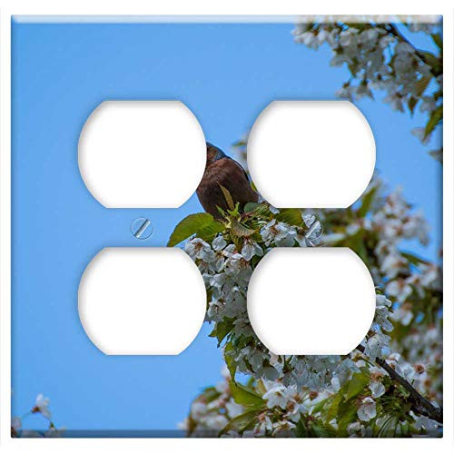 Double Duplex Outlet Wall Plate Cover - Bird Tree Flowers Feather Sky Songbirds Branch