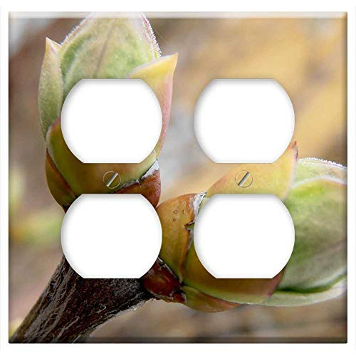 Double Duplex Outlet Wall Plate Cover - Green Branch Spring Nature Tree Season Plant