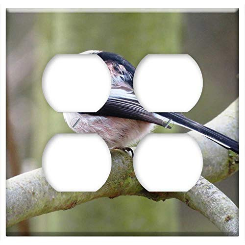 Double Duplex Outlet Wall Plate Cover - Long Tailed Tit Bird Sparrow Bird Branch