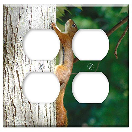 Double Duplex Outlet Wall Plate Cover - Squirrel Animals Rodent Tree Fauna Branch