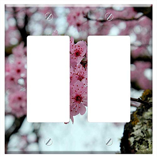 Switch Plate Double Rocker/GFCI - Cherry Flower Branch Flora Florist Spring Petals 1