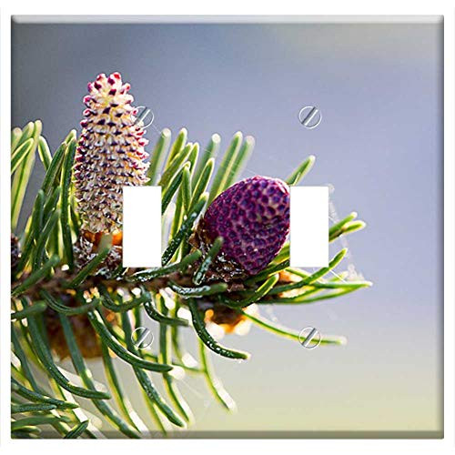 Switch Plate Double Toggle - Pine Branch Pine Tree Tree Branches Wood Natural Switch Plate Double Toggle - Pine Branch Pine Tree Tree Branches Wood Natural