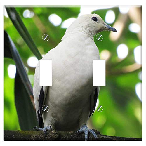 Switch Plate Double Toggle - Dove Pigeon Bird Colorful Tree Branch Sitting Rest