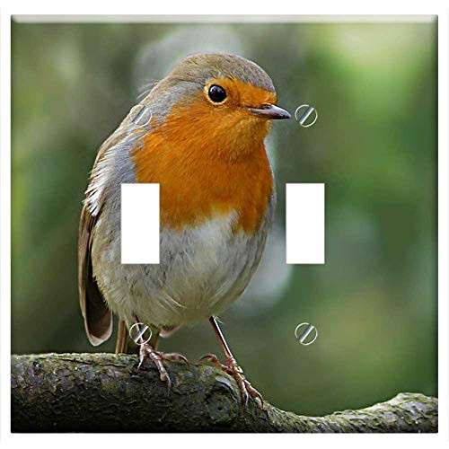 Switch Plate Double Toggle - Bird Robin Erithacus Rubecula Branch Winter
