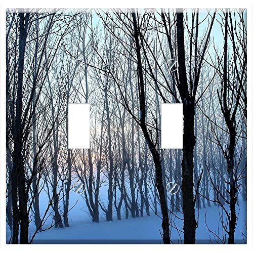 Switch Plate Double Toggle - Mist Hazy Winter Tree Sunset Branch Snow