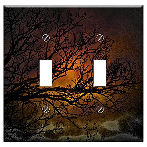 Switch Plate Double Toggle - Sunset Tree Branch Sky Clouds Outdoors Scenic