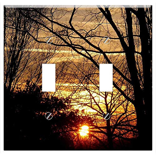 Switch Plate Double Toggle - Sunset Light Wood Branch Sky Day S