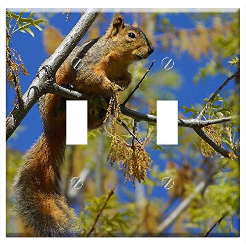 Switch Plate Double Toggle - Squirrel Chipmunk Branch Tree Climb Nager Tail